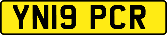 YN19PCR