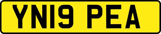 YN19PEA