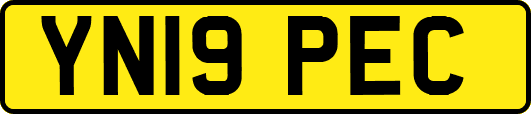 YN19PEC