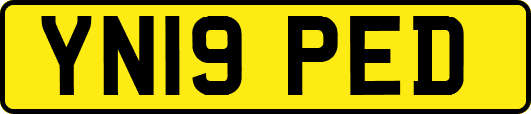 YN19PED