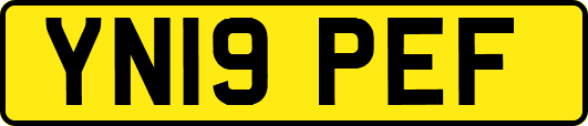 YN19PEF