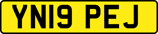 YN19PEJ