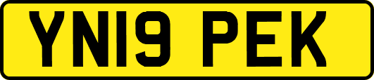 YN19PEK