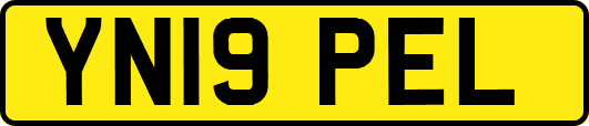 YN19PEL