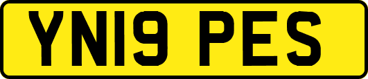 YN19PES