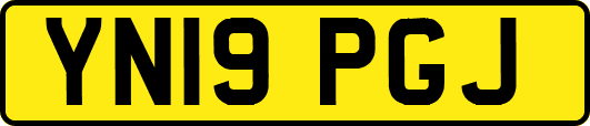YN19PGJ