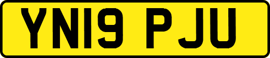 YN19PJU