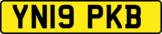 YN19PKB