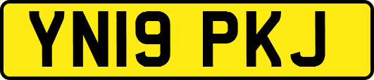 YN19PKJ