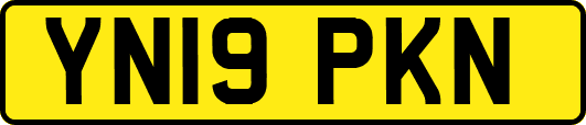 YN19PKN