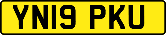 YN19PKU