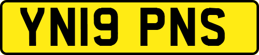 YN19PNS
