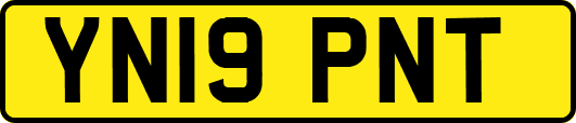 YN19PNT