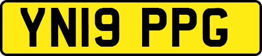 YN19PPG