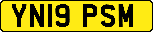 YN19PSM