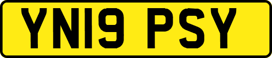 YN19PSY