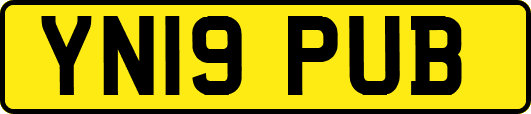 YN19PUB