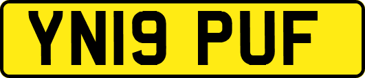 YN19PUF