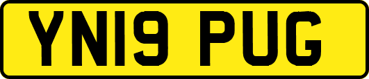 YN19PUG