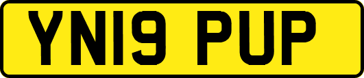 YN19PUP