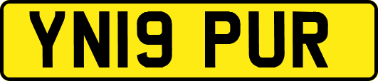 YN19PUR