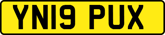 YN19PUX