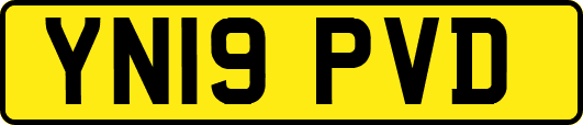 YN19PVD