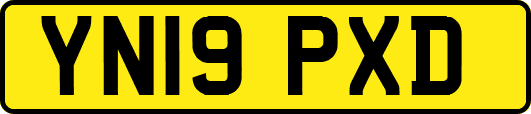 YN19PXD