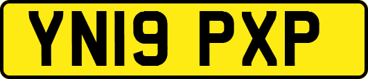 YN19PXP