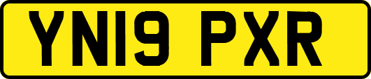YN19PXR