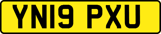 YN19PXU