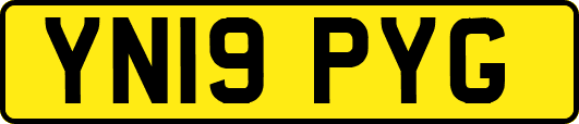 YN19PYG