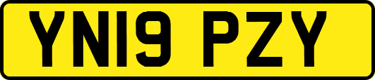 YN19PZY
