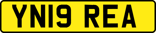 YN19REA