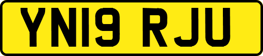 YN19RJU