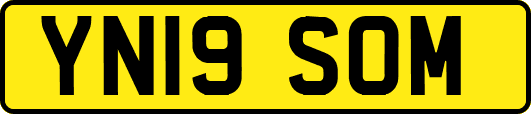 YN19SOM