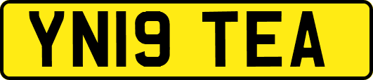 YN19TEA