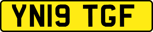 YN19TGF