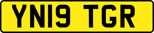 YN19TGR