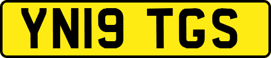 YN19TGS