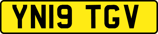 YN19TGV