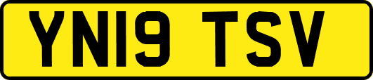 YN19TSV