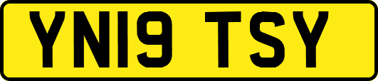 YN19TSY