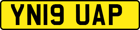 YN19UAP