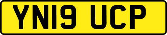 YN19UCP