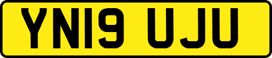YN19UJU