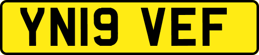 YN19VEF