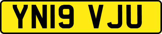 YN19VJU