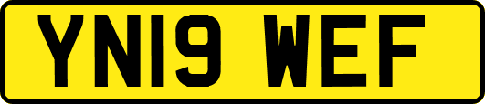 YN19WEF