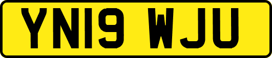 YN19WJU